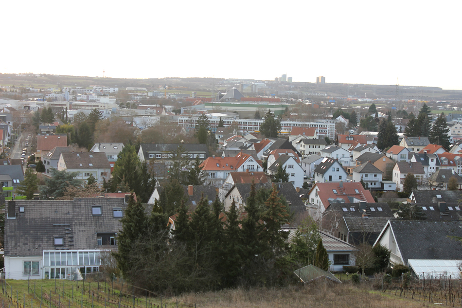 (c) Mainz-Hechtsheim.de